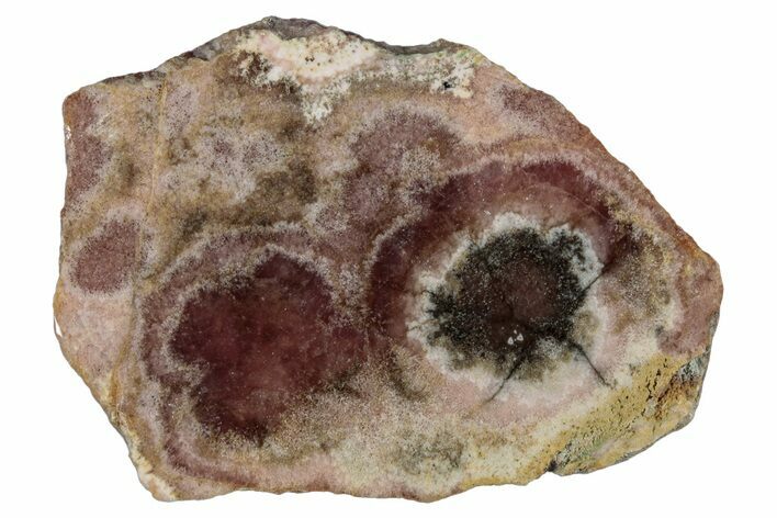 Polished Banded Rhodochrosite Slab - Argentina #281808